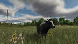 Rhönplateau Mod Thumbnail