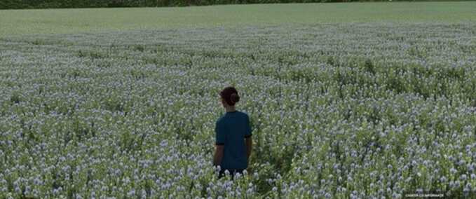 Judith Plains, Montana 4x Multifruit and Production Edit Mod Image