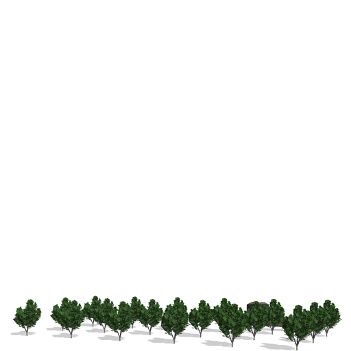 Berry Plantation - Thumbnail 1