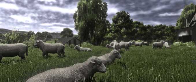 Tools Realistic RayTracing Reshade Preset Farming Simulator mod