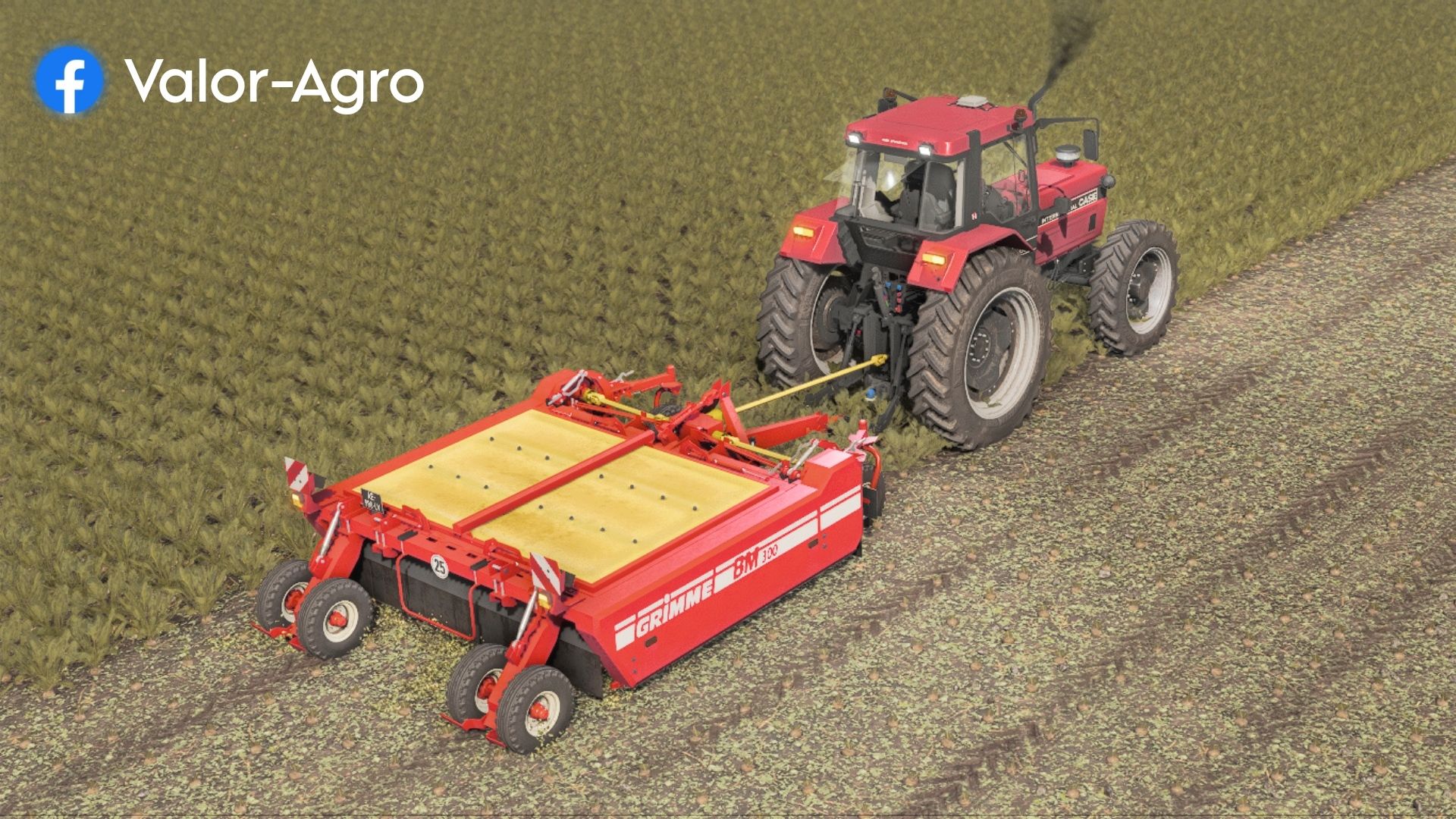 Grimme BM 300 - Thumbnail 1