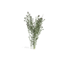 3664201