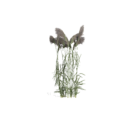3664202