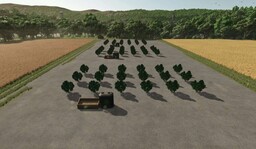 Berry Plantations