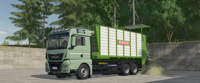 MAN TGX Hooklift Pack Mod Image