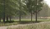 Pinewood Forest Mod Thumbnail