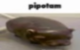 3667576