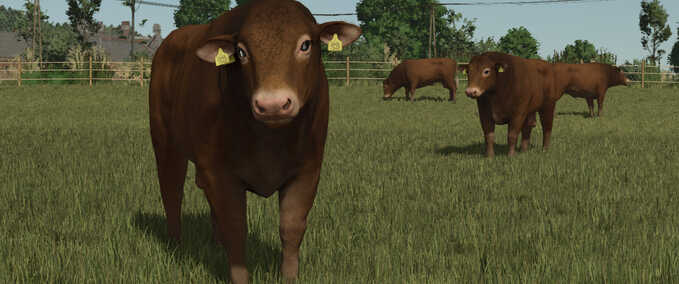 Animal Package - Vanilla Edition Mod Image