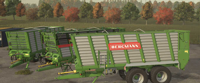 Bergmann HTW 45 Mod Image