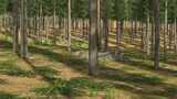 SWE Farms Map Mod Thumbnail