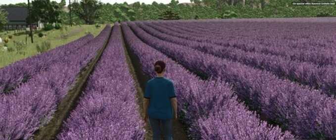 Judith Plains Montana 4X - Multifruit & Production Edit Mod Image