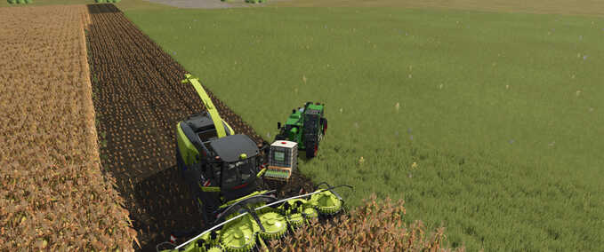 Lizard Bon Silage Mod Image