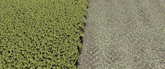 Textures Sugar Beet Texture - Row Crop Ready Farming Simulator mod