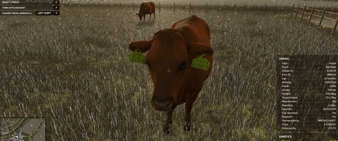 Gameplay Realistic Livestock Farming Simulator mod