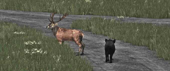 Texturen All-in-One Einfach zu Installierendes Texturpaket Landwirtschafts Simulator mod