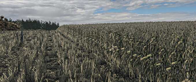 Texturen Mais-Textur - Neue Generation Landwirtschafts Simulator mod