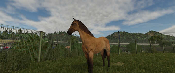 Gameplay Stallvermietung Landwirtschafts Simulator mod