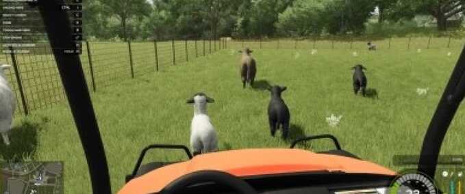 Gameplay Tierherden Lite Landwirtschafts Simulator mod