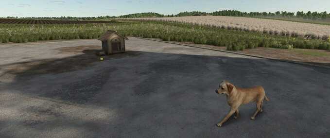 Platzierbare Objekte Wer hat die Hunde rausgelassen Landwirtschafts Simulator mod