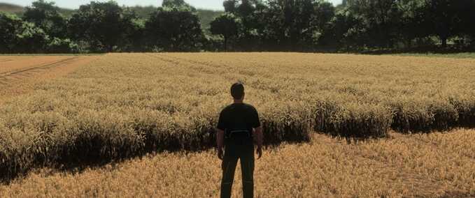 Realistischer Weizen- & Gerstenwachstumszyklus – Europa Mod Image