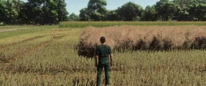 Realistischer Raps-Wachstumszyklus (Europa) Mod Image