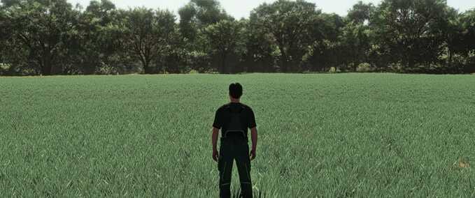 Texturen Realistischer Hafer-Wachstumszyklus in Europa Landwirtschafts Simulator mod