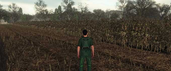 Gameplay Realistisches Mais-Wachstumssystem (Europa) Landwirtschafts Simulator mod