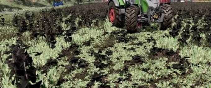 Scripte Fruchtschaden für zusätzliche Kulturen Landwirtschafts Simulator mod