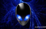 Metal-Eye avatar