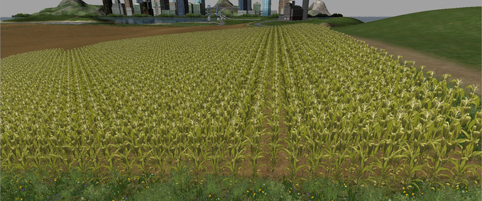 Texturen Mais in Reihen Landwirtschafts Simulator mod