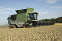 R-nach-links_1024_sc2874